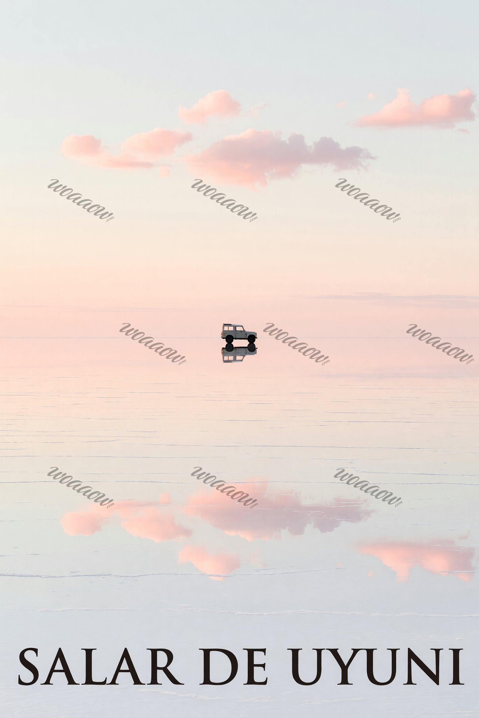 One Vehicle on the Salt