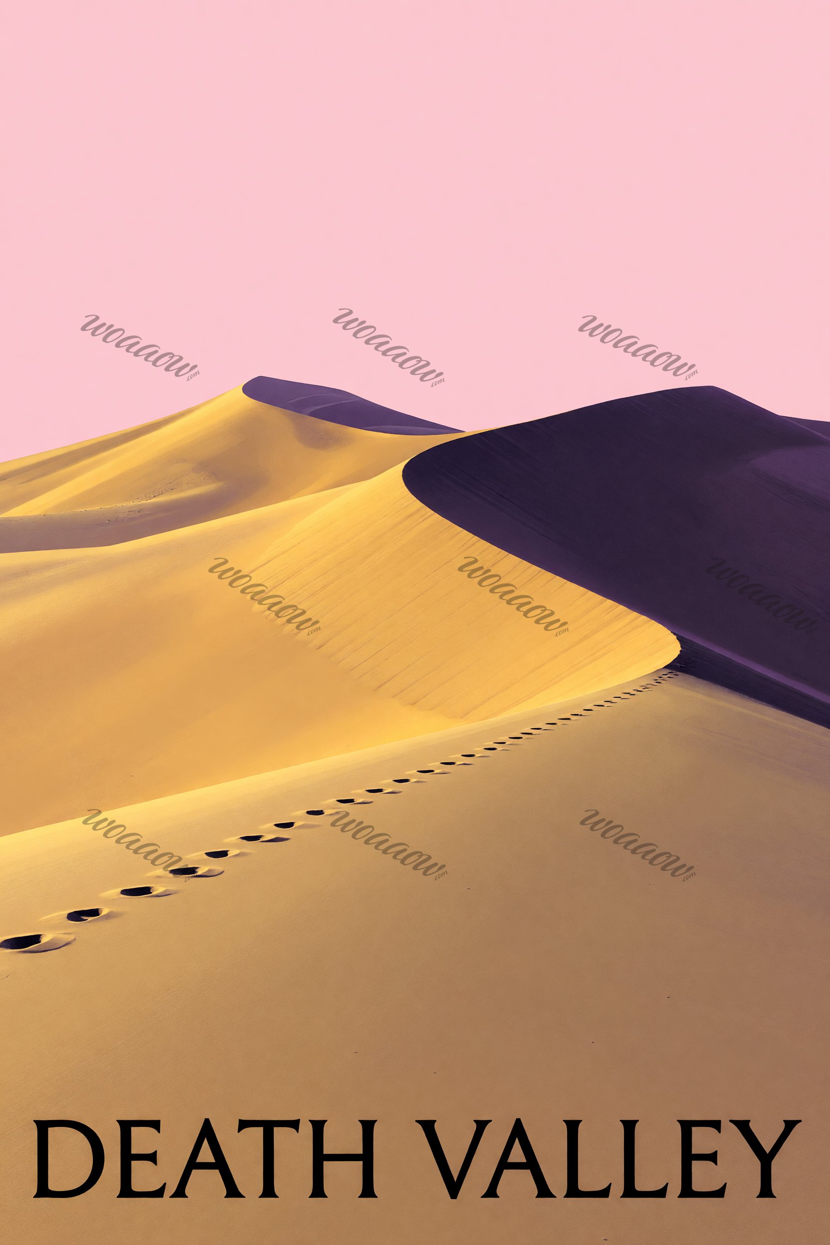 Footprints on the Dune